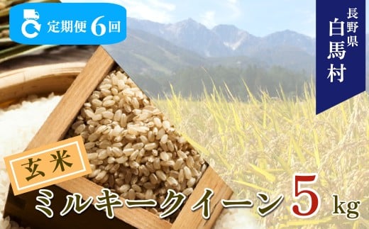 ＜6ヶ月間お届け＞＜令和7年産＞白馬産ミルキークイーン【玄米】5kg 全6回/長野県白馬村  2025年産  定期便  米  玄米発送  お米  ご飯  ごはん  送料無料【B0030164】
