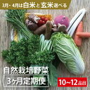 【ふるさと納税】BI-14 【3ヵ月定期便】自然栽培野菜10～12品目（3月4月は白米または玄米5kg）野菜 野菜詰め合わせ やさい セット 野菜ボックス 10種類 旬の野菜をお届け 送料無料 国産 茨城県産