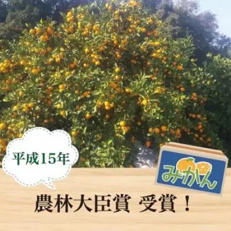 【2027年1月順次発送!】100年以上続くみかん農家がつくる「みかん(大津4号)」約5kg【配送不可地域：離島】【1738393】