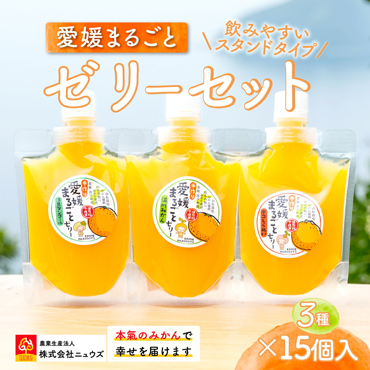 【ふるさと納税】飲みやすいスタンドタイプ 愛媛まるごとゼリー 3種15個 ※離島への配送不可 【ふるさと納税 人気 おすすめ ランキング みかん ミカン 蜜柑 ゼリー セット フルーツ 果物 ニュウズ 愛媛県 伊方町 送料無料】 IKTF027
