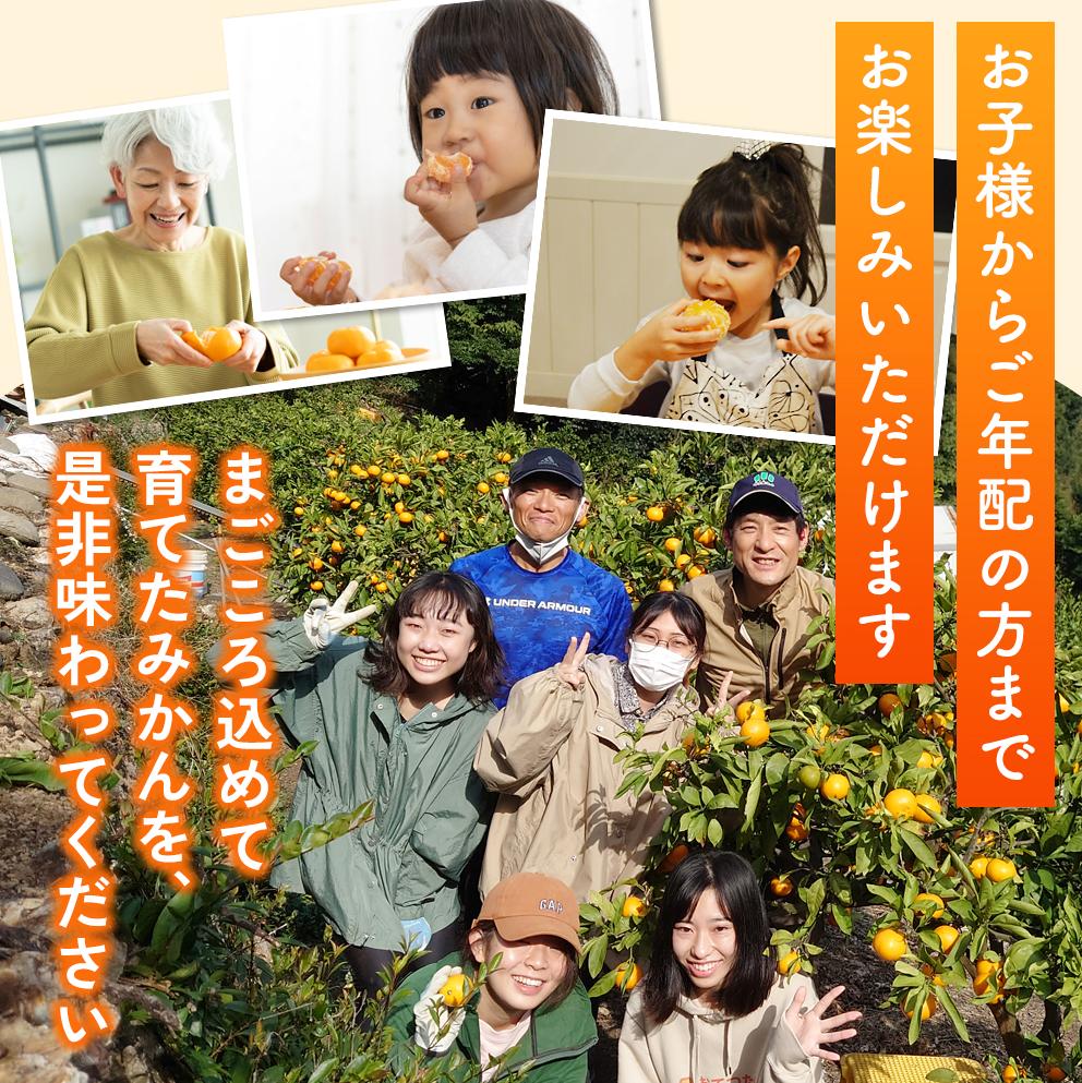 【先行予約】ゆらみかん 9kg 温州みかん 和歌山県由良町産［2025年12月10日～25日発送予定］【kzmn017】