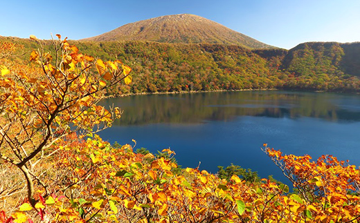 鹿児島県霧島市ANAトラベラーズホテル割引クーポン（22500点分） K-545-D