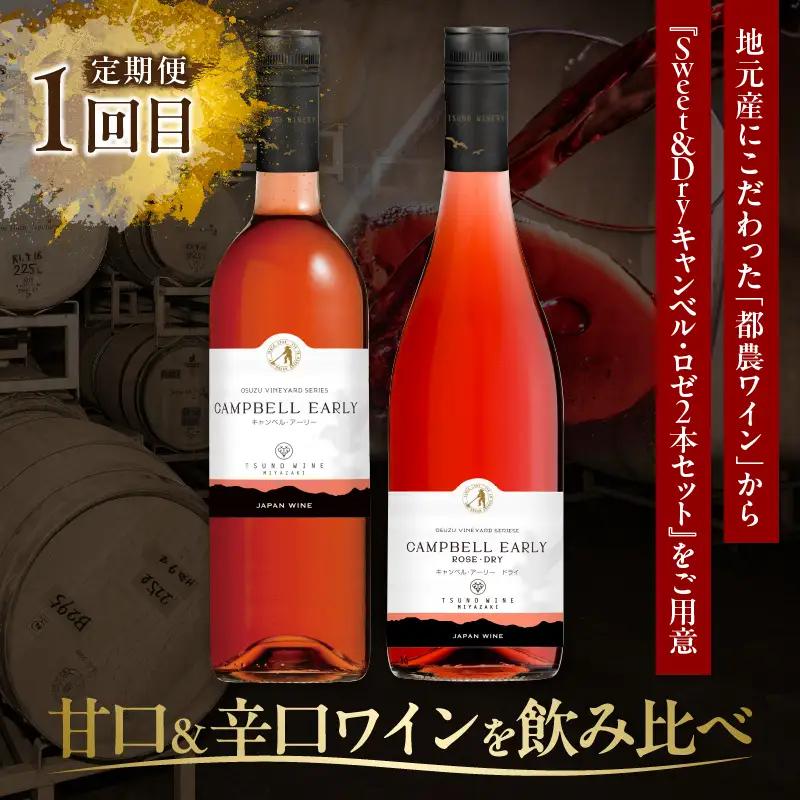 ≪定期便≫＼1か月に2回お届け!!／都農ワイン×ロースステーキ★最強コンビ 肉 牛肉 酒 飲料 国産_T999-0046