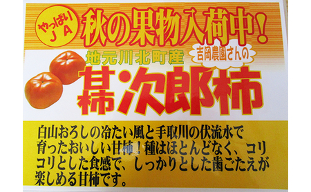 柿 吉岡さんちのジロウ柿 甘柿 石川県産 柿【約4kg】