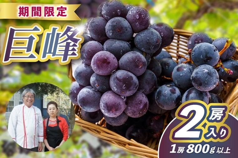 
            レストランのプロが育てる！鹿嶋市産 ぶどうの王様「巨峰」2房(大粒800g以上/房) (KAE-17)
          