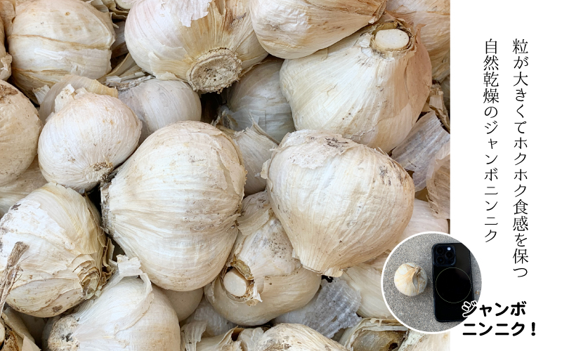 【先行予約】ひでちゃんのジャンボニンニク（バラ）1kg