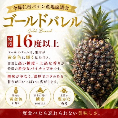 【2026年6月下旬から順次発送】今帰仁村パイン産地協議会 ゴールドバレル3.6kg(2～3玉)【配送不可地域：離島】