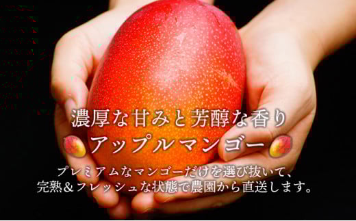 【やました農園】＜先行予約＞小さいマンゴーでも味と糖度は贈答用と同じ！M/Lサイズ4玉（1,000g～1,200g）| ご家庭用 ちょっと小さめ宮崎完熟マンゴー YMPML4