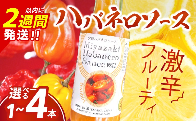 
爽やか激辛食感 フルーティなハバネロソース ≪本数が選べる≫ 数量限定 宮崎 ハバネロ ソース 1本 2本 3本 4本 激辛ソース 調味料 おすすめ 加工品 オリジナル ブレンド 肉料理 パスタ ピザ ギフト プレゼント 贈り物 お取り寄せ 宮崎県 日南市 送料無料_S-ZW1-24
