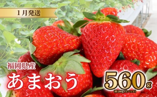 【2026年1月発送】 苺 あまおう 560g (280g×2) いちご あまおう 福岡県産苺 いちご あまおう イチゴ 苺 あまおう 苺 数量限定 苺 いちご あまおう 福岡県産 苺 いちご あまおう【1月上旬より順次出荷】
