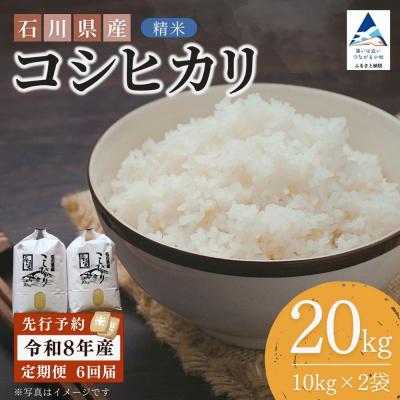 ふるさと納税 小松市 【先行予約】【6ヶ月定期便】令和8年産 石川県産コシヒカリ 精米 計20kg(10kg×2袋)×6回