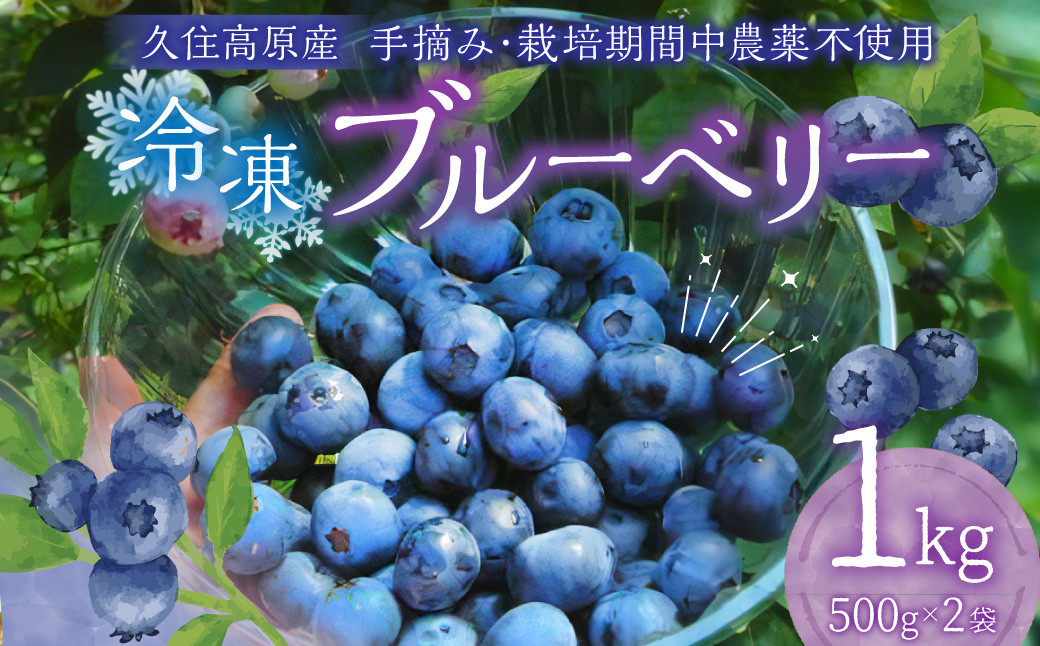 
【2ヶ月毎4回 定期便】久住高原 手摘みブルーベリー 冷凍 500g 2袋 計4kg 小分け 栽培期間中農薬不使用
