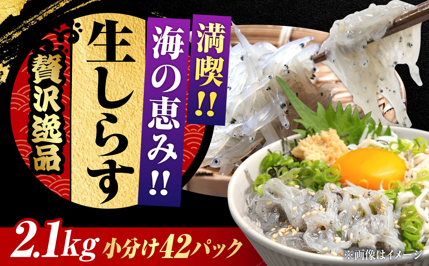 しらす 冷凍 シラス　小分け 干し 生しらすのプリッした食感と塩味が抜群！生しらす50g×42個 冷凍 シラス 鮮魚 ギフト 海鮮丼 広島県産 江田島市/三島水産株式会社 [XCN004] お肉・魚介