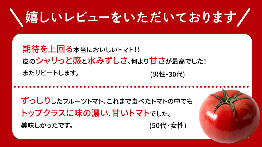 【母の日専用】 スーパーフルーツトマト 小箱 約800g ×1箱 糖度9度以上 《5月4日～10日お届け メッセージカード付》 トマト とまと 野菜 母の日 ギフト 贈り物 プレゼント 感謝 記念日 