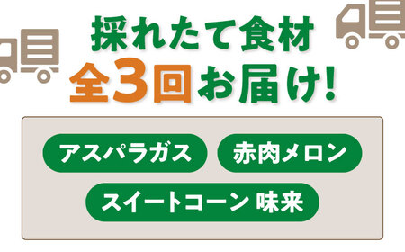 【全3回定期便】北海道の旬 お楽しみ定期便【喜茂別町】 野菜 アスパラ メロン コーン 季節の野菜 北海道 産地直送 定期便 [AJZZ007] 