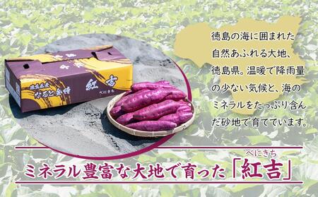 さつまいも なると金時　紅吉（べにきち）3kg