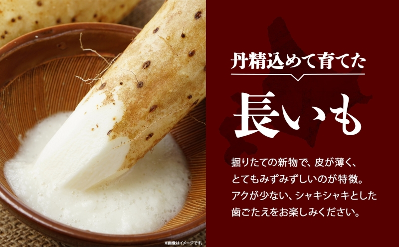 北海道産 長いも 秋冬出荷 約10kg 2025年11月中旬～2026年3月下旬お届け 長芋 ながいも とろろ 農作物 野菜 新鮮 根菜 新物 山かけ 産地直送 お取り寄せ 送料無料 冷蔵 北海道 洞