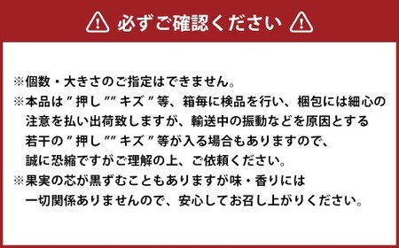 あたご梨 3～6玉 合計約3kg 化粧箱 梨 ナシ なし 愛宕梨 あたごなし ジャンボ梨 【2026年11月下旬～12月下旬発送予定】
