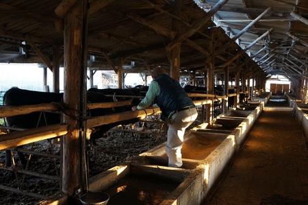 ★女性に人気★ 伊予牛絹の味 すき焼き用 ロース 300ｇ (冷凍)　 伊予牛 すき焼き ロース 黒毛和牛 