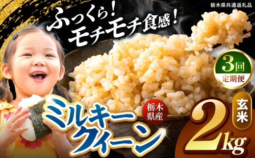 【先行予約】【定期便3回】 訳あり令和8年度産 玄米 約2kg ミルキークイーン |  真岡市産 米  お米 こめ 玄米 ご飯 ごはん もちもち ミルキークイーン 限定 ふるさと納税  栃木県 真岡市 送料無料