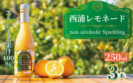 西浦 レモネード スパークリング ジュース ストレート 果汁 100％ 250ml×3本 希少 柑橘 静岡 沼津 