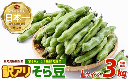 
                  ＜2027年3月上旬以降発送＞【産地直送！新鮮旬野菜！】＜訳アリ・ご家庭用＞そら豆Lサイズ 約3kg(指宿促成青果/IB092-006)そら豆 ソラマメ さや付き 野菜 豆 訳アリ ご家庭用 指宿市 そらまめ 春の味覚 塩茹で 焼きそら豆 野菜 国産
                
