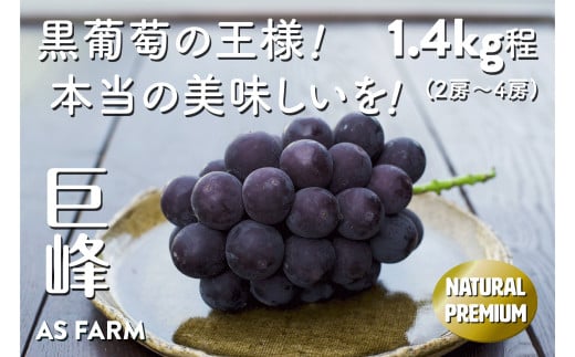 甲州市産「巨峰」 約1.4kg（2～4房）【2024年発送】（ASF）B-146