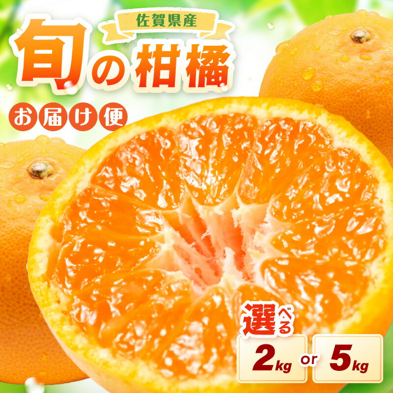 【ふるさと納税】佐賀の旬の柑橘をお届け 佐賀産かんきつ ＜内容量が選べる／ 2kg・5kg ＞【 果物 フルーツ みかん 蜜柑 オレンジ ふるさと納税 フルーツ 】