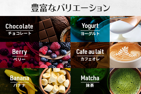【最短5営業日以内発送】VALX ホエイプロテイン 420g ヨーグルト風味 プロテイン ヨーグルト