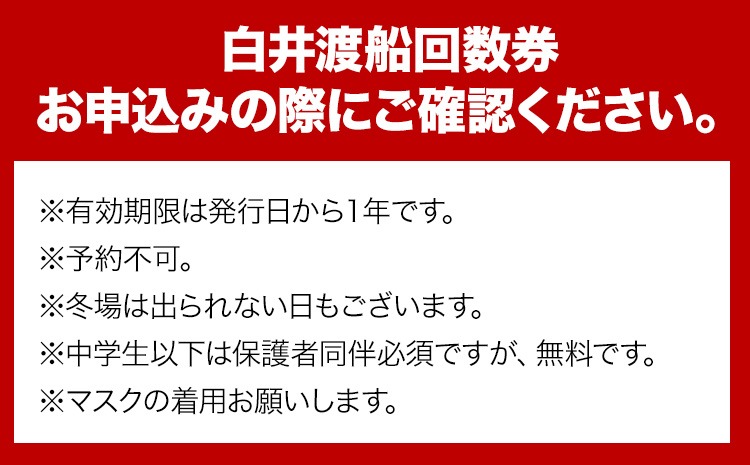 白井渡船回数券 利用券11枚組 白井渡船《30日以内に出荷予定(土日祝除く)》和歌山県 日高町 紀伊水道 田杭港沖 回数券 レジャー 釣り 乗船---iwsh_strk_90d_22_134000_11p---