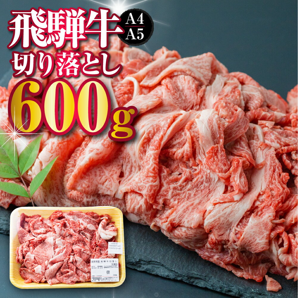【ふるさと納税】厳選 飛騨牛 切り落とし 切落し A4・A5ランク 600g 牛肉 和牛 肉 訳あり 訳アリ わけあり ワケアリ 不揃い a4 a5 すき焼き 牛肉 牛丼 カレー 飛騨市産