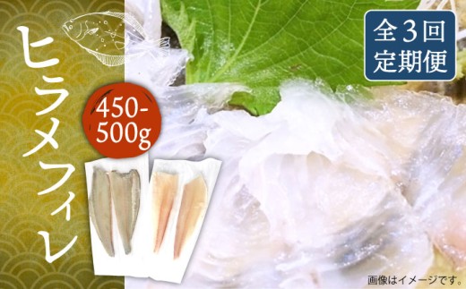【全3回定期便】ヒラメフィレ 約450〜500g（1尾・1kg台前後）《壱岐市》【なかはら】 [JDT036] ひらめ ヒラメ 鮃 ヘレ 柵 ブロック 刺身 刺し身 お刺身 海鮮 魚介 フライ 煮つけ ムニエル 75000 75000円