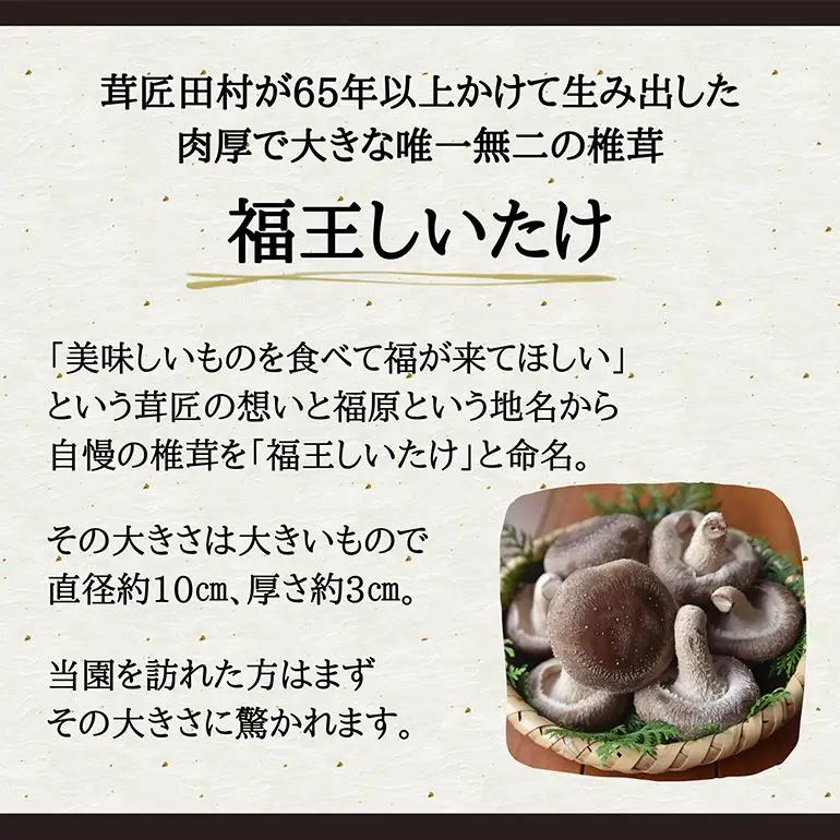 【先行販売/2026年10月末以降発送】 福王しいたけ 特大サイズ 約1.4kg IA-008
