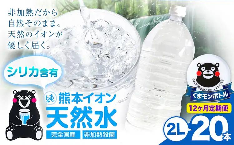 【12ヶ月定期便】熊本イオン純天然水 ラベルレス 2L×20本 《お申込み翌月から出荷》2l 水 飲料水 ナチュラルミネラルウォーター｜人気天然水 大人気返礼品 ブランド天然水