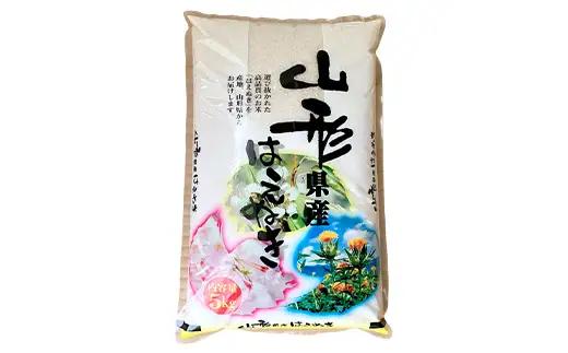 ≪2026年9月発送≫ 令和7年度 山形県産 はえぬき 20kg(5kg×4) 精米 白米 お米 米 米米 新米 ご飯 ごはん ブランド米 銘柄米 2025年産 令和7年度産 家庭用 自宅用 贈答用 