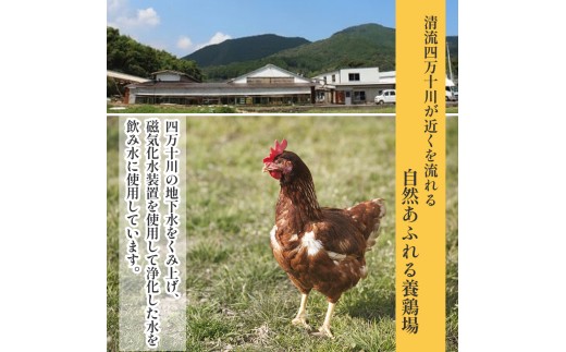 卵が苦手な子どもも食べられた！生臭くないおいしい卵 6個入×5P／Gbn-A03 
