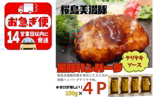 W-0405／鹿児島県産　桜島美湯豚　ハンバーグ 4個（てりやきソース）