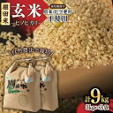 【ふるさと納税】【新米 先行予約】【10月中旬以降順次発送】令和6年産 新米 自然農法で育てた 佐賀県産 棚田玄米ヒノヒカリ 9kg（3kg×3袋） /永尾忠則 [UAS007] 米 お米 特別栽培米 玄米