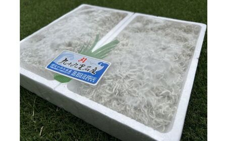 釜揚げしらす 漁師が選ぶ 海鮮 シラス丼 釜揚げしらす