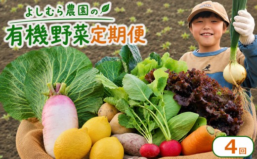 野菜 定期便 4回 詰め合わせ 10種 よしむら農園 オーガニック 有機 有機野菜 やさい ベジタブル おまかせ セット 一人暮らし おすすめ レタス とうもろこし トマト 有機栽培 JAS 栄養 贅沢 国産 大容量 人気 新鮮 今が旬 香川県 丸亀市