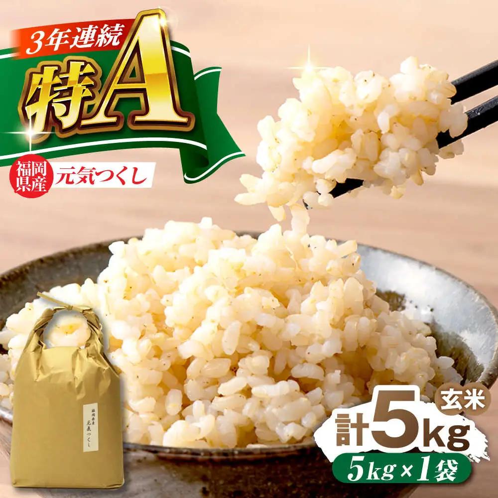 福岡県産 元気つくし 玄米 5kg×1袋 [BGAF026]元気つくし