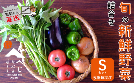 【大阪能勢産】 《農家直送》 べじたぶるぱーくの旬の新鮮野菜詰合せ Sセット (5種類) | べじたぶるぱーく株式会社