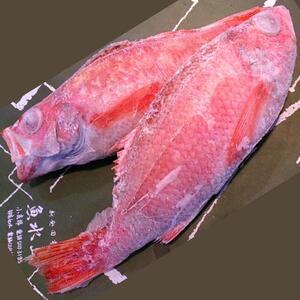 ノドグロ 10尾セット 1尾 約100g のどぐろ のどぐろ のどぐろ のどぐろ uomizushima005