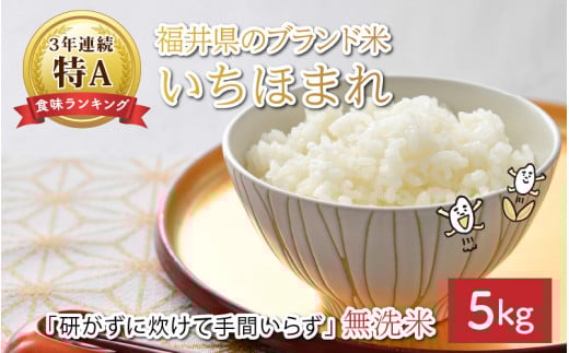 【先行予約】【令和7年産・新米】福井県のブランド米 いちほまれ5kg 無洗米 【2025年10月以降順次発送予定】【 人気 品種 ブランド米 特A 】 [B-6108]