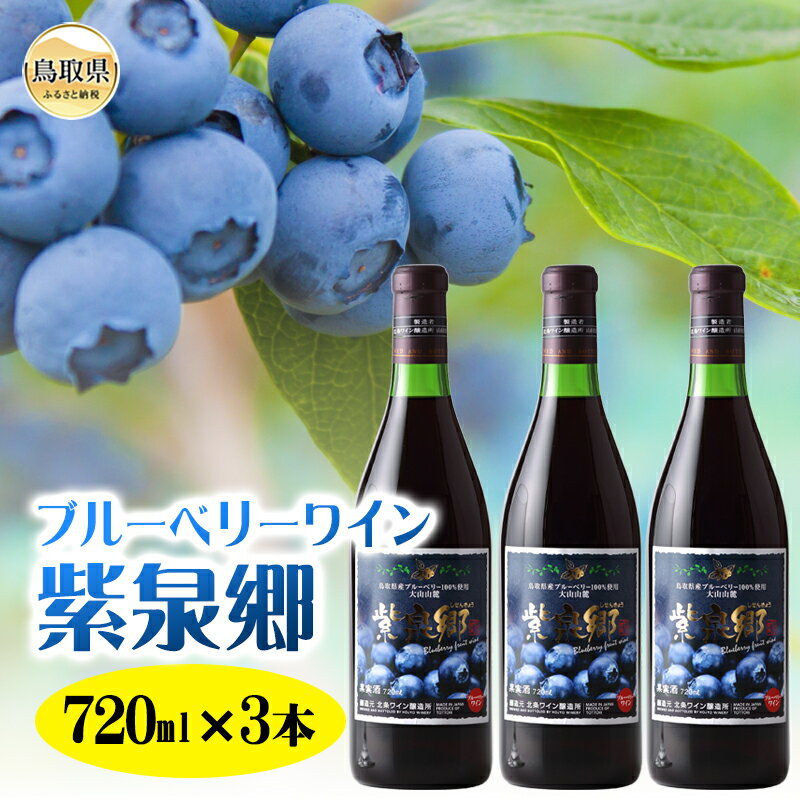 【ふるさと納税】D24-143 ブルーベリーワイン紫泉郷720ml 3本セット【数量限定】