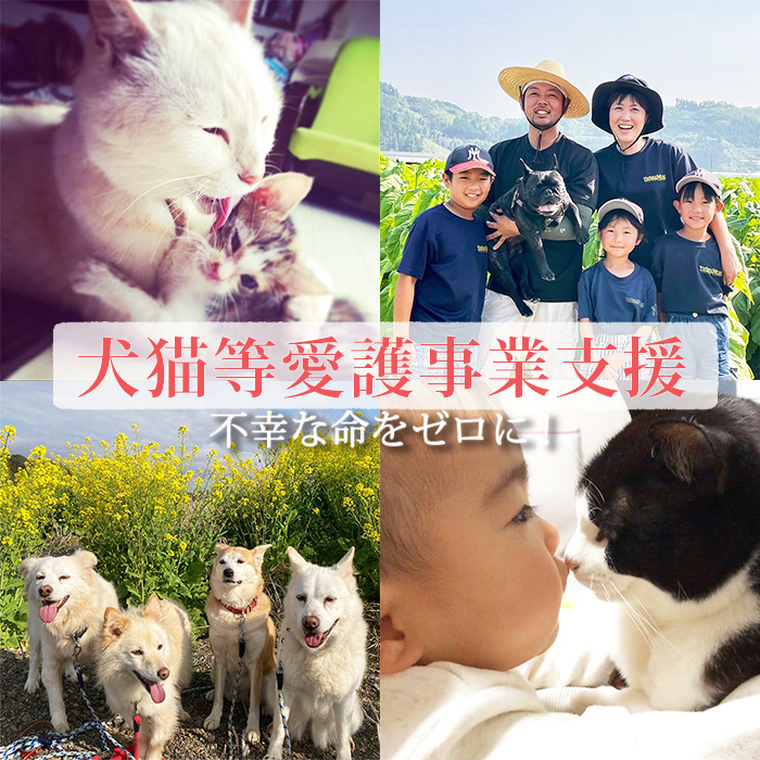 【返礼品なし】【犬猫等愛護活動 犬と猫と人にとって住みよい社会づくりを応援】宮崎県 高原町 特定非営利活動法人 咲桃虎(さくもんと) チャリティー 応援寄付金 募金 動物愛護活動 保護 ボランティア ペット 社会貢献 治療 支援　TF3000