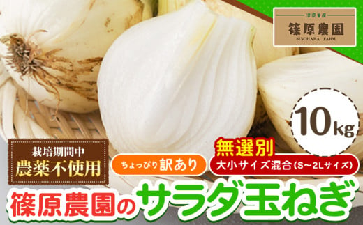 訳あり 栽培期間中 農薬不使用 サラダ玉ねぎ (S-2Lサイズ) 10kg《2月中旬-3月下旬頃出荷》熊本県 葦北郡 津奈木町 篠原農園 野菜 玉ねぎ たまねぎ 自然栽培 大小サイズ混合 ちょっと訳あり