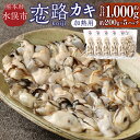 【ふるさと納税】加熱用 冷凍 みなまた 恋路カキ 合計1kg 200g×5パック 牡蠣 かき 魚介 カキフライ 炊き込みご飯 グラタン 鍋 国産 九州 熊本県 水俣市 送料無料