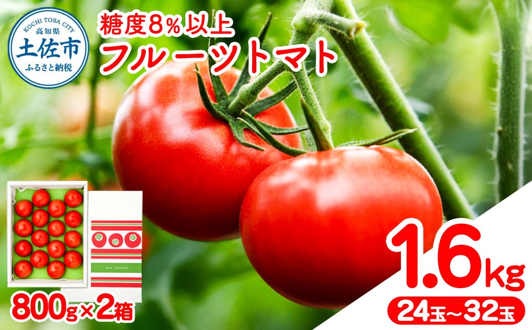 
                  【先行予約】フルーツトマト 約1.6kg(約800g×2) 24~32玉入り 糖度 8度以上 〈2027年1月下旬から順次発送〉フルーツトマト ふるーつとまと とまと トマト 甘い 濃厚 美味しい 箱入り 野菜 料理 高知県 土佐市【ファーム輝】 [BQBM004]
                