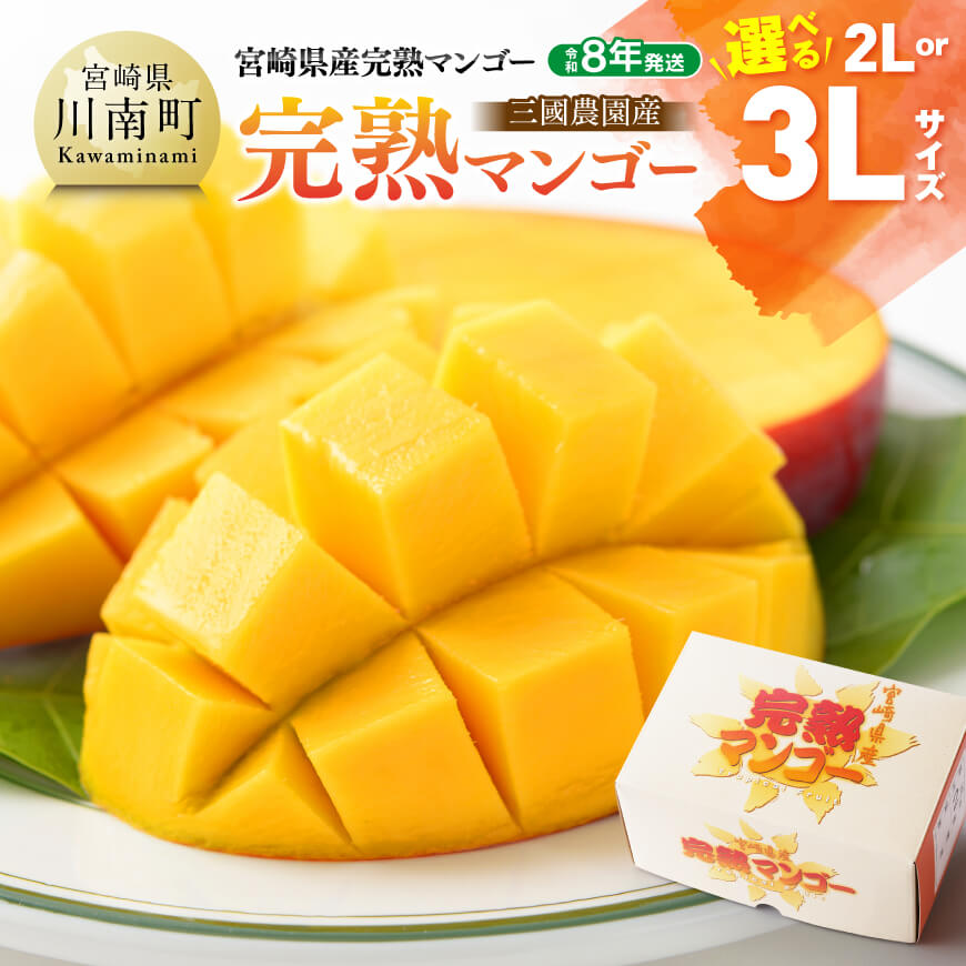 【ふるさと納税】※内容量が選べる※【令和8年発送】宮崎県産完熟マンゴー　三國農園　完熟マンゴー2Lサイズ～3Lサイズ - 果物 フルーツ マンゴー 宮崎県産 完熟マンゴー みやざきマンゴー C08301 C08302 C08303